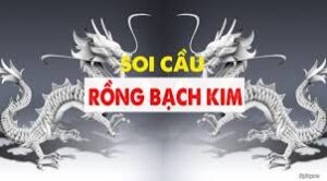 Hướng Dẫn Cách Chơi Rồng Bạch Kim Tại PG88